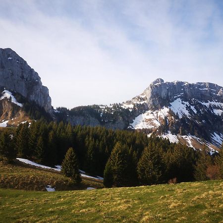 Domaine De La Griffe - Chambres D'Hotes "Roche Parnal" La Roche-sur-Foron Kültér fotó
